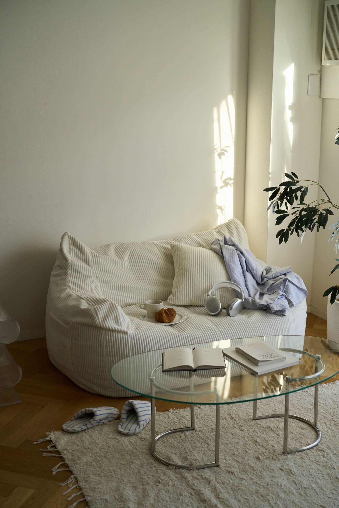 Sebo Vacuum Cleaners: All About the Warranty and Guarantee